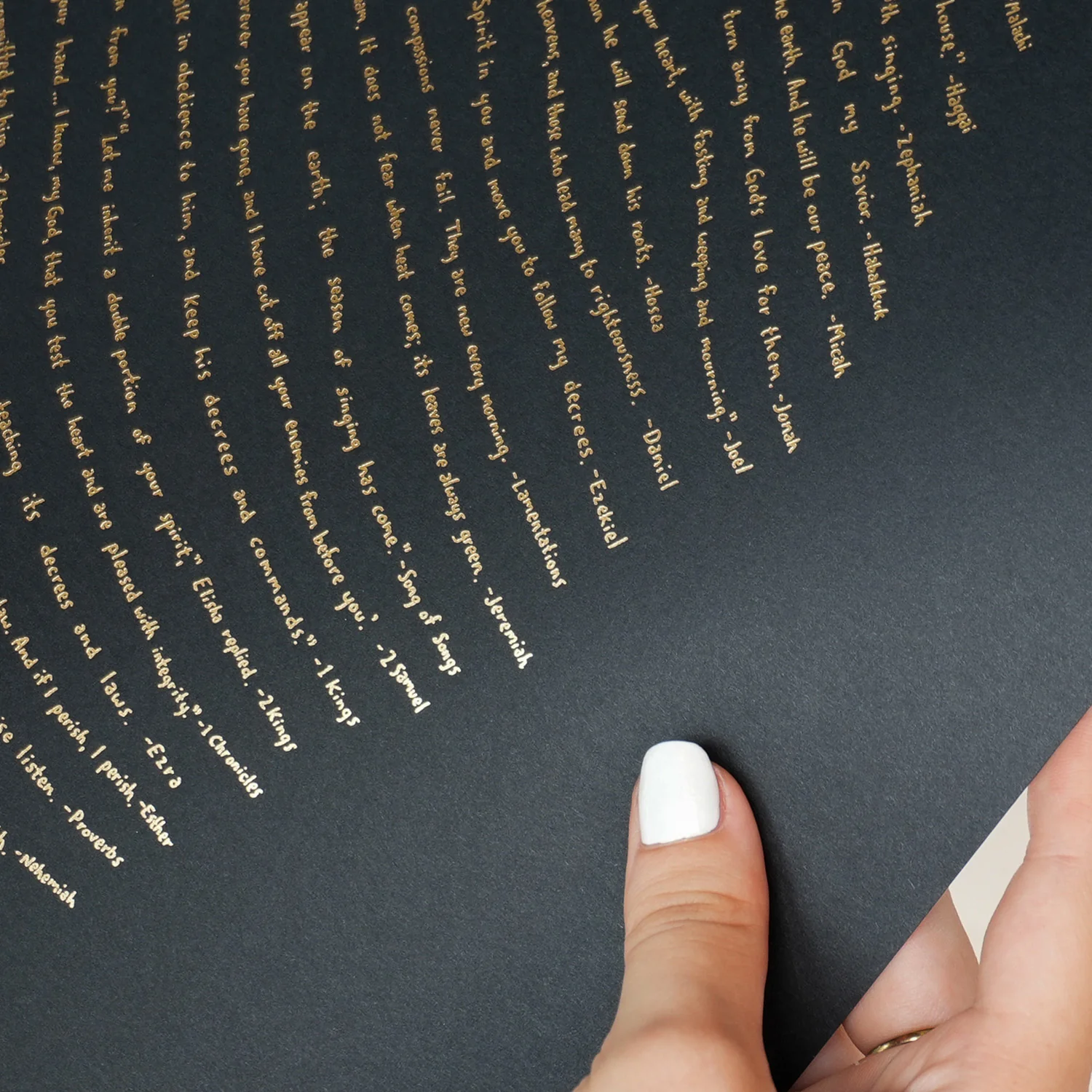 God's Fingerprint - Illuminated Edition (KJV) - Image 3